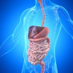آزمایش معده و روده چیست؟ (با 7 آزمایش گوارش آشنا شوید)
