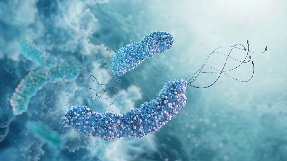 آزمایش میکروب معده