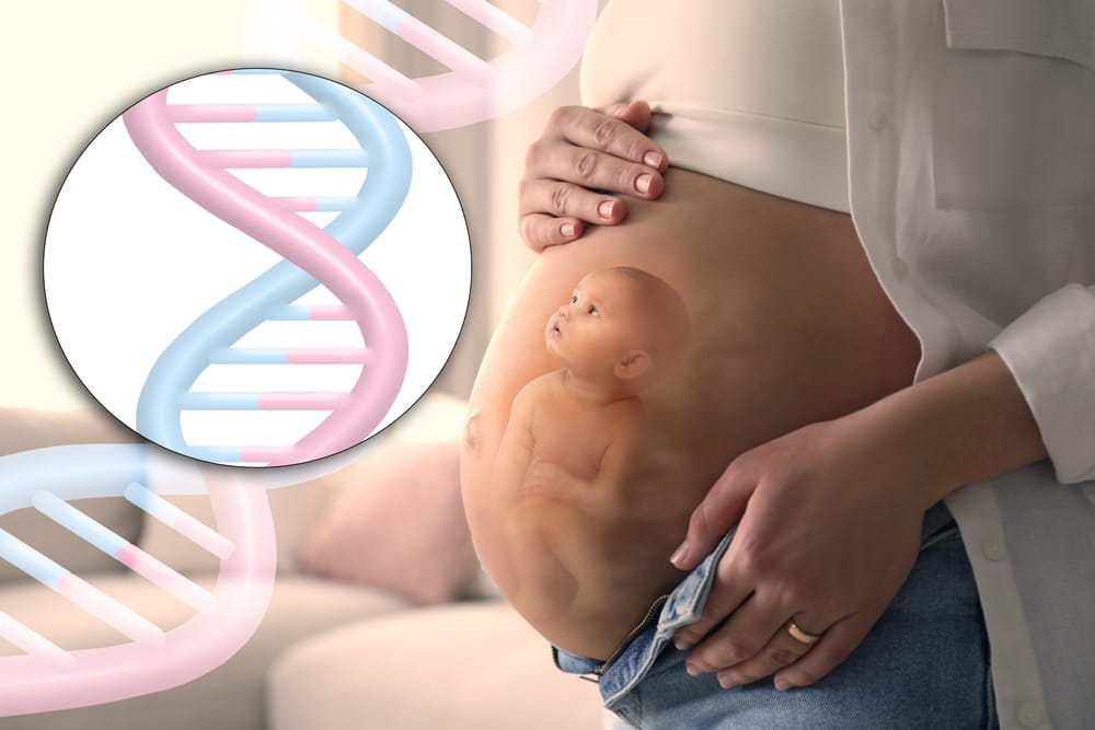 آزمایش NIPT یا غربالگری DNA جنین چیست؟