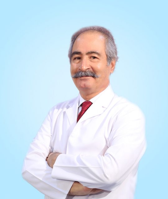 دکتر سید حسن مقدسی