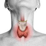 تیروئید چیست و چه علائمی دارد؟ | علائم تیروئید خطرناک