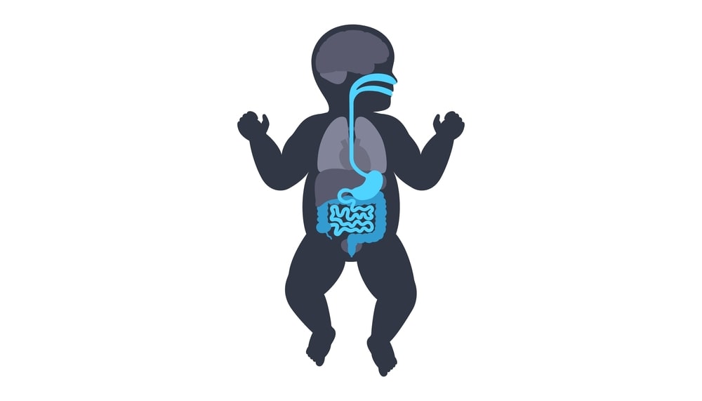 سیستم گوارش نوزادان چگونه کار میکند؟