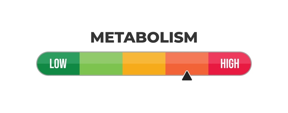 نحوه افزایش متابولیسم بدن