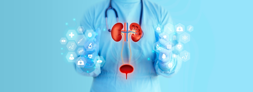 عفونت ادراری در زنان چیست و چرا شایع‌تر است؟