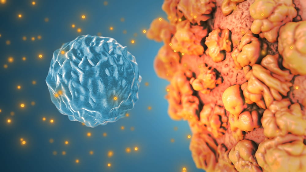 سیستم ایمنی بدن چگونه کار می‌کند؟