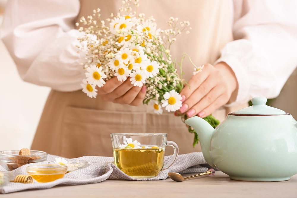 آشنایی با گیاه بابونه و ترکیبات شگفت‌انگیز آن